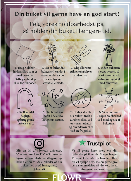 Holdbarhedsguide