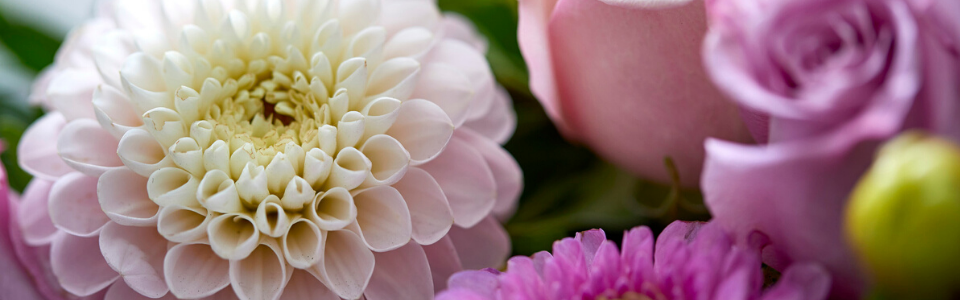 Send blomster til Hvidovre
