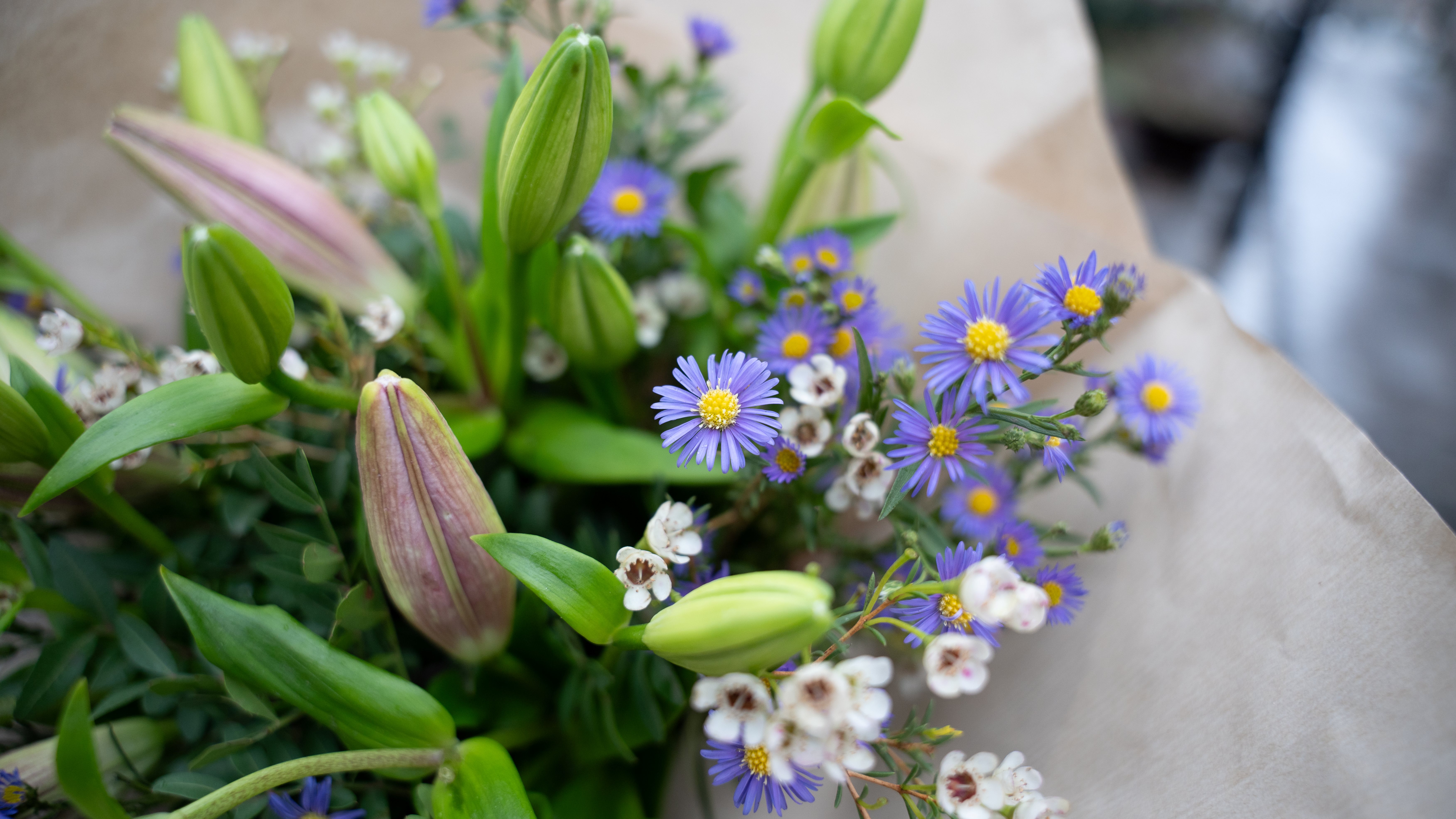 Grønne blomster