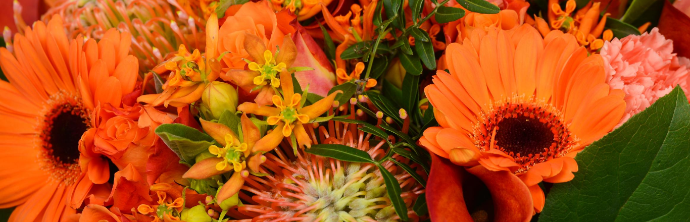 Send blomster til Taastrup