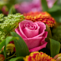 Valentinsgave til ham