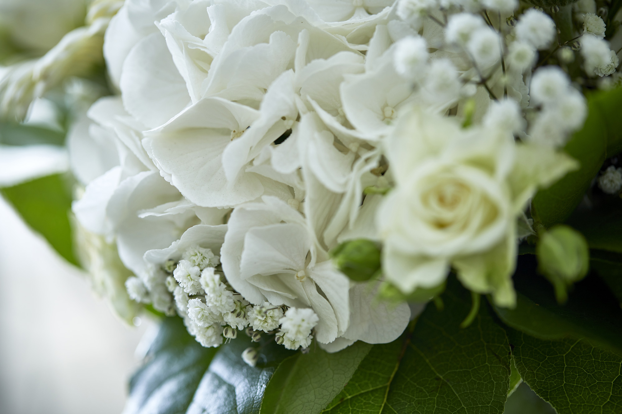 FLOWR_56_11_
