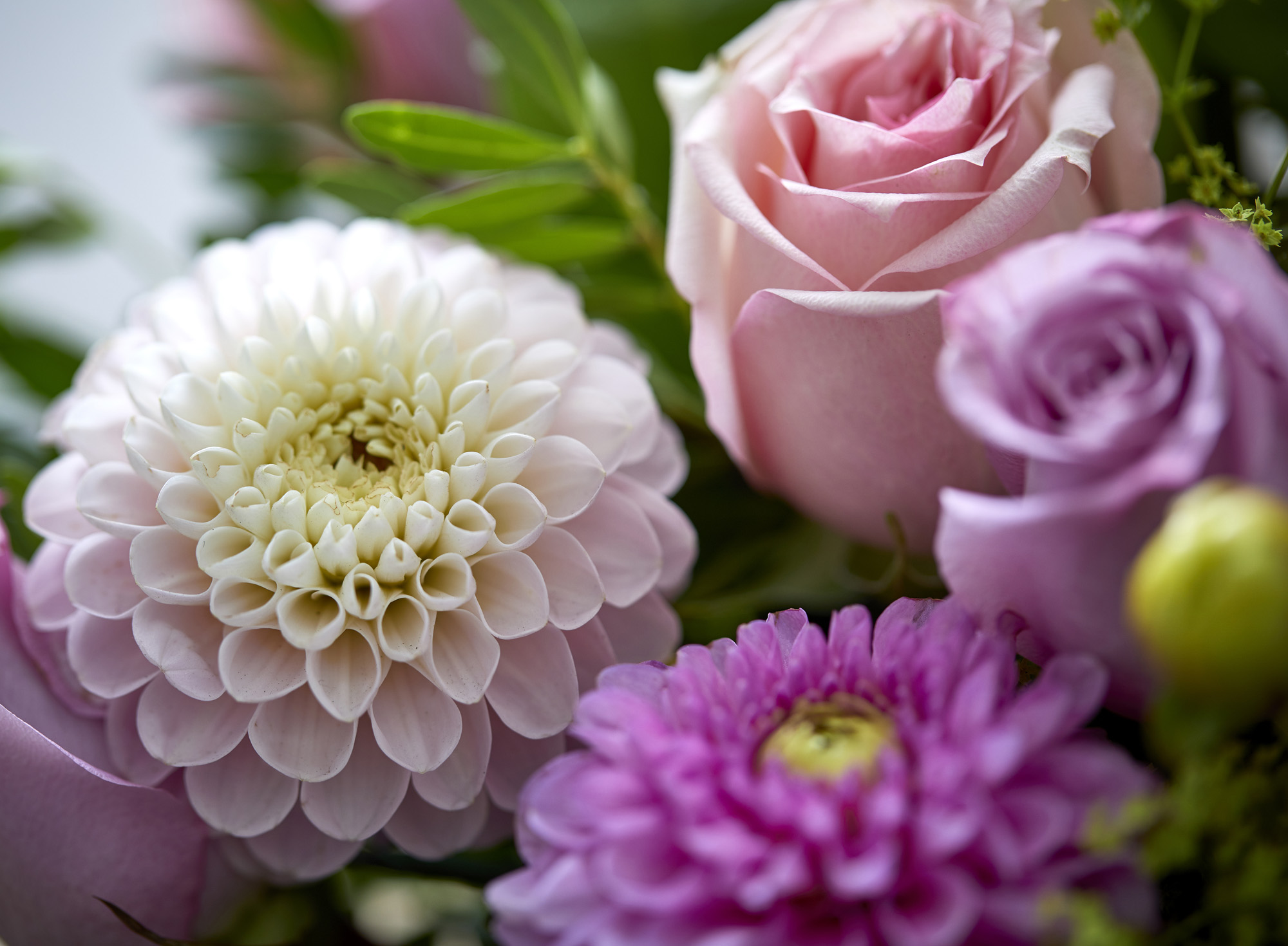 Send blomster til Roskilde