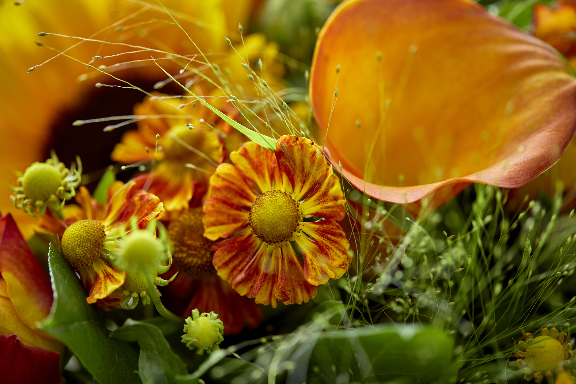 Send blomster til Horsens