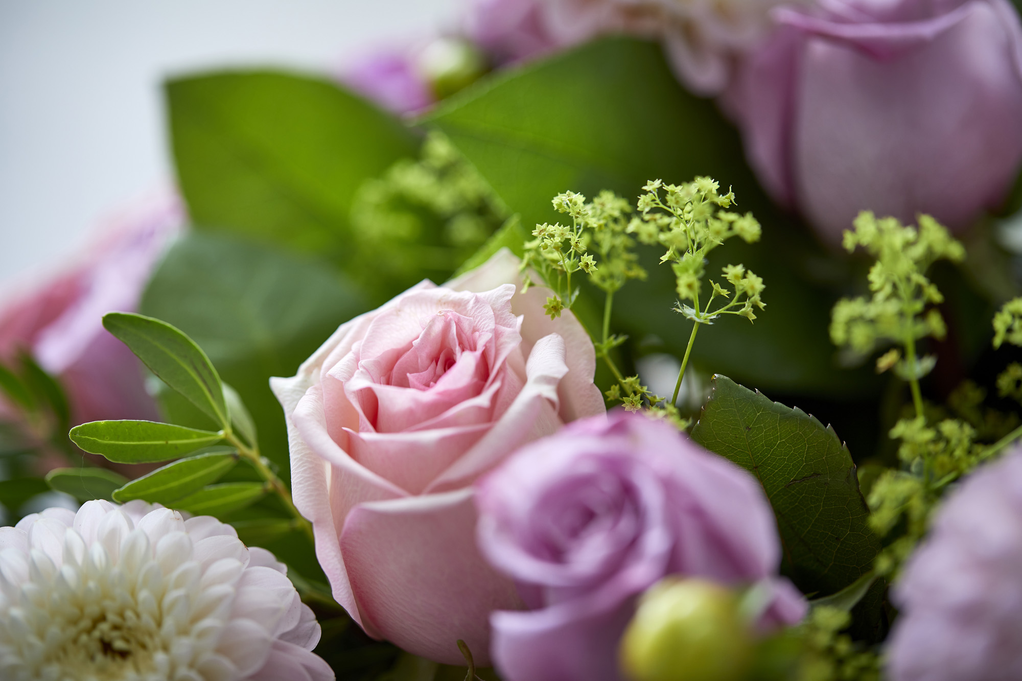 Send blomster til Herlev