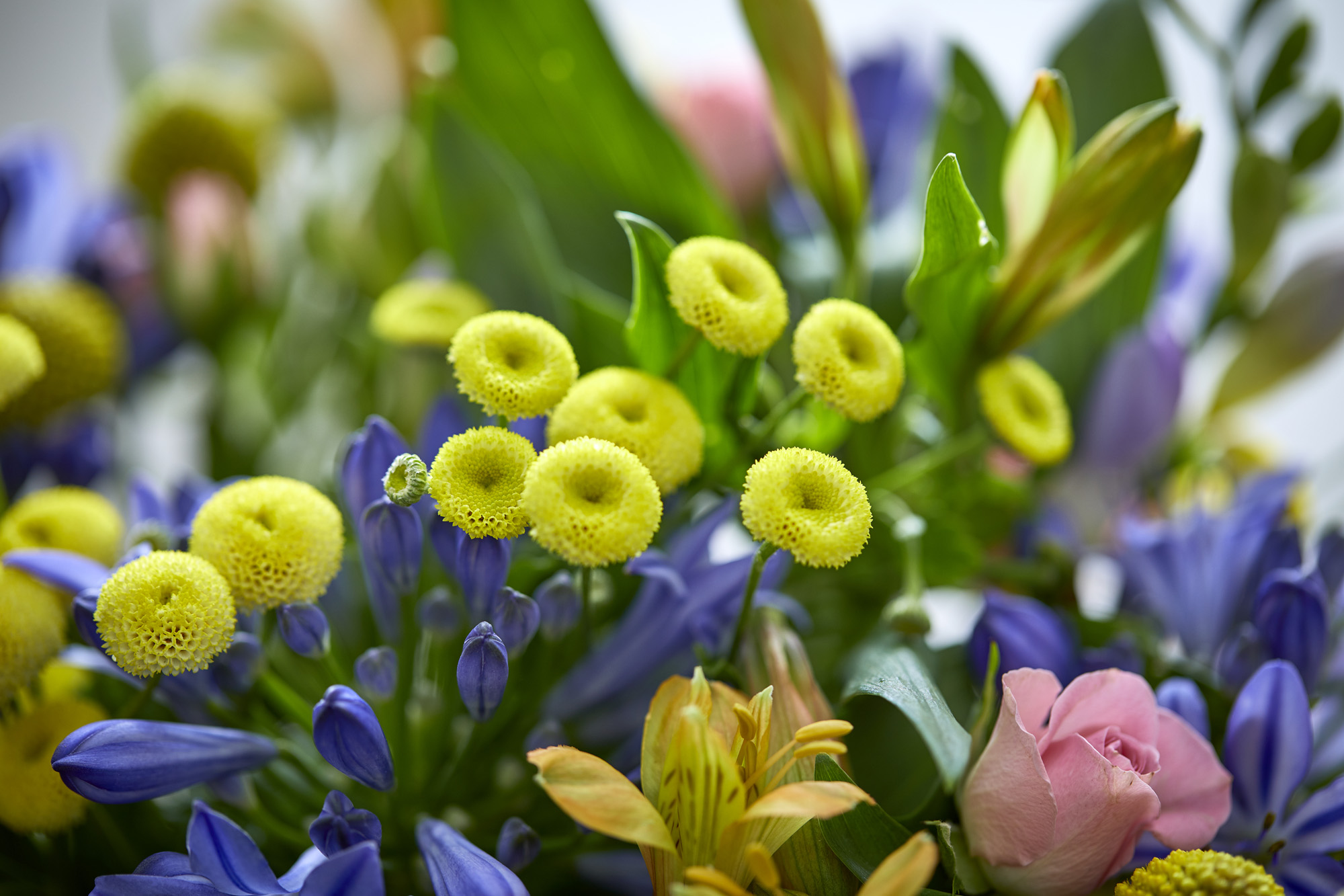 Send blomster til Esbjerg