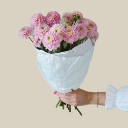 Bundt med 15 stilke lyserøde dahlia