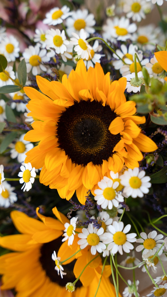 DSC01015