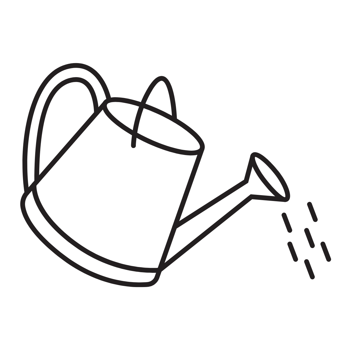 Icon 1